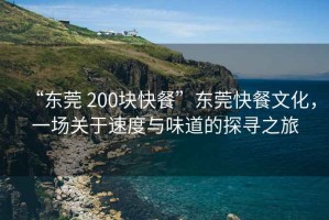 “東莞 200塊快餐”東莞快餐文化，一場關(guān)于速度與味道的探尋之旅