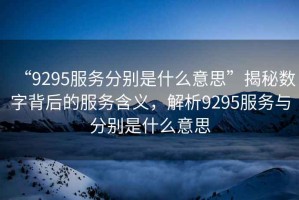 “9295服務分別是什么意思”揭秘數字背后的服務含義，解析9295服務與分別是什么意思