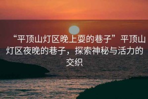 “平頂山燈區晚上耍的巷子”平頂山燈區夜晚的巷子，探索神秘與活力的交織