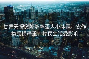 甘肅天祝突降鵪鶉蛋大小冰雹，農(nóng)作物受損嚴重，村民生活受影響