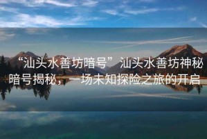 “汕頭水善坊暗號”汕頭水善坊神秘暗號揭秘，一場未知探險之旅的開啟