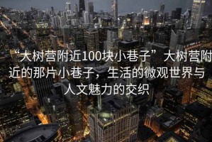 “大樹營(yíng)附近100塊小巷子”大樹營(yíng)附近的那片小巷子，生活的微觀世界與人文魅力的交織
