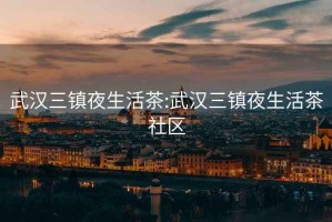 武漢三鎮夜生活茶:武漢三鎮夜生活茶社區