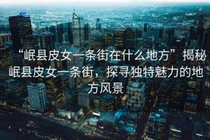 “岷縣皮女一條街在什么地方”揭秘岷縣皮女一條街，探尋獨特魅力的地方風景