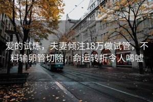 愛的試煉，夫妻傾注18萬做試管，不料輸卵管切除，命運轉折令人唏噓