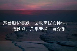 茅臺股價暴跌，回收商憂心忡忡，一場跌幅，幾乎虧掉一臺奔馳