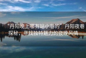 “丹陽晚上哪有站小巷的”丹陽夜巷探秘，尋找獨特魅力的夜晚風情