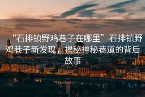 “石排鎮野雞巷子在哪里”石排鎮野雞巷子新發現，揭秘神秘巷道的背后故事