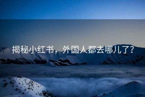 揭秘小紅書，外國人都去哪兒了？