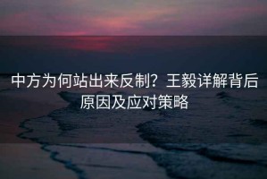 中方為何站出來(lái)反制？王毅詳解背后原因及應(yīng)對(duì)策略