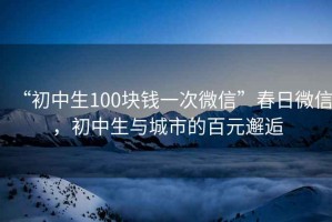 “初中生100塊錢一次微信”春日微信，初中生與城市的百元邂逅