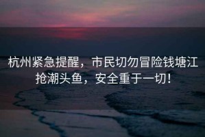杭州緊急提醒，市民切勿冒險錢塘江搶潮頭魚，安全重于一切！
