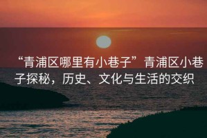 “青浦區哪里有小巷子”青浦區小巷子探秘，歷史、文化與生活的交織