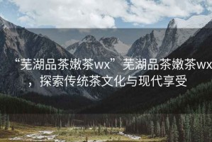 “蕪湖品茶嫩茶wx”蕪湖品茶嫩茶wx，探索傳統茶文化與現代享受