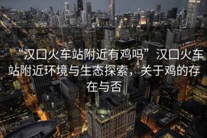 “漢囗火車站附近有雞嗎”漢囗火車站附近環(huán)境與生態(tài)探索，關(guān)于雞的存在與否