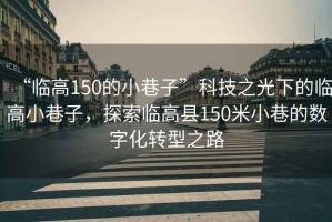 “臨高150的小巷子”科技之光下的臨高小巷子，探索臨高縣150米小巷的數(shù)字化轉型之路