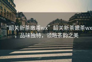 “韶關新茶嫩茶wx”韶關新茶嫩茶wx，品味獨特，領略茶韻之美
