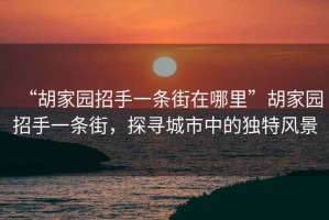 “胡家園招手一條街在哪里”胡家園招手一條街，探尋城市中的獨特風景