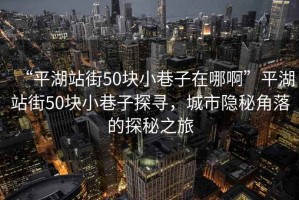 “平湖站街50塊小巷子在哪啊”平湖站街50塊小巷子探尋，城市隱秘角落的探秘之旅