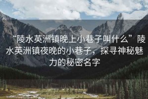 “陵水英洲鎮(zhèn)晚上小巷子叫什么”陵水英洲鎮(zhèn)夜晚的小巷子，探尋神秘魅力的秘密名字