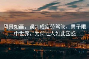 風(fēng)景如畫，誤判成疲勞駕駛，男子眼中世界，為何讓人如此困惑