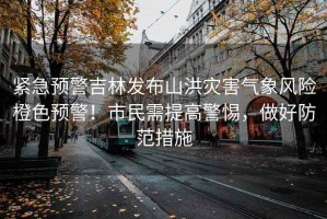 緊急預警吉林發布山洪災害氣象風險橙色預警！市民需提高警惕，做好防范措施