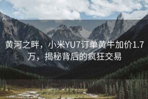 黃河之畔，小米YU7訂單黃牛加價1.7萬，揭秘背后的瘋狂交易