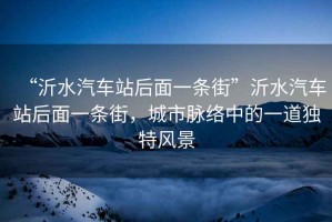 “沂水汽車站后面一條街”沂水汽車站后面一條街，城市脈絡中的一道獨特風景