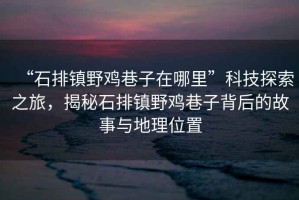 “石排鎮野雞巷子在哪里”科技探索之旅，揭秘石排鎮野雞巷子背后的故事與地理位置