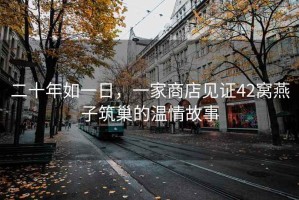 二十年如一日，一家商店見證42窩燕子筑巢的溫情故事