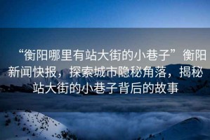 “衡陽哪里有站大街的小巷子”衡陽新聞快報，探索城市隱秘角落，揭秘站大街的小巷子背后的故事