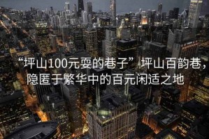 “坪山100元耍的巷子”坪山百韻巷，隱匿于繁華中的百元閑適之地