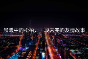 晨曦中的松柏，一段未完的友情故事
