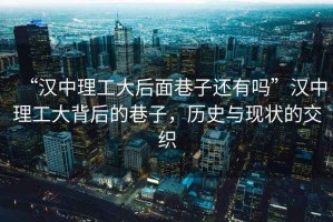 “漢中理工大后面巷子還有嗎”漢中理工大背后的巷子，歷史與現狀的交織