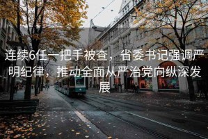 連續6任一把手被查，省委書記強調嚴明紀律，推動全面從嚴治黨向縱深發展