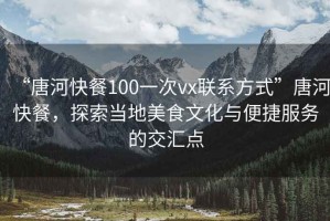 “唐河快餐100一次vx聯系方式”唐河快餐，探索當地美食文化與便捷服務的交匯點
