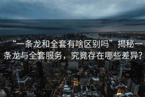 “一條龍和全套有啥區(qū)別嗎”揭秘一條龍與全套服務，究竟存在哪些差異？