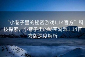 “小巷子里的秘密游戲1.14官方”科技探索，小巷子里的秘密游戲1.14官方版深度解析