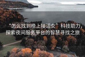 “怎么找到晚上接活女”科技助力，探索夜間服務平臺的智慧尋找之旅