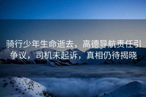 騎行少年生命逝去，高德導航責任引爭議，司機未起訴，真相仍待揭曉
