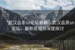 “武漢品茶sn論壇最新”武漢品茶sn論壇，最新資訊與深度探討