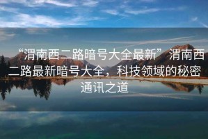 “渭南西二路暗號大全最新”渭南西二路最新暗號大全，科技領域的秘密通訊之道