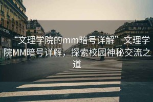 “文理學院的mm暗號詳解”文理學院MM暗號詳解，探索校園神秘交流之道
