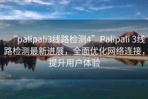 “palipali3線路檢測(cè)4”P(pán)alipali 3線路檢測(cè)最新進(jìn)展，全面優(yōu)化網(wǎng)絡(luò)連接，提升用戶體驗(yàn)