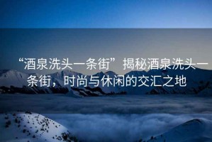 “酒泉洗頭一條街”揭秘酒泉洗頭一條街，時尚與休閑的交匯之地