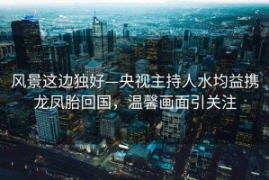 風景這邊獨好—央視主持人水均益攜龍鳳胎回國，溫馨畫面引關注