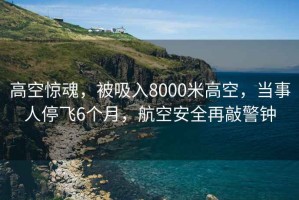 高空驚魂，被吸入8000米高空，當事人停飛6個月，航空安全再敲警鐘