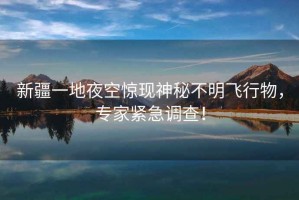 新疆一地夜空驚現神秘不明飛行物，專家緊急調查！