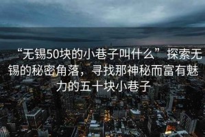 “無錫50塊的小巷子叫什么”探索無錫的秘密角落，尋找那神秘而富有魅力的五十塊小巷子