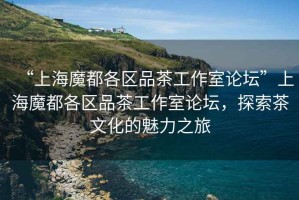 “上海魔都各區品茶工作室論壇”上海魔都各區品茶工作室論壇，探索茶文化的魅力之旅